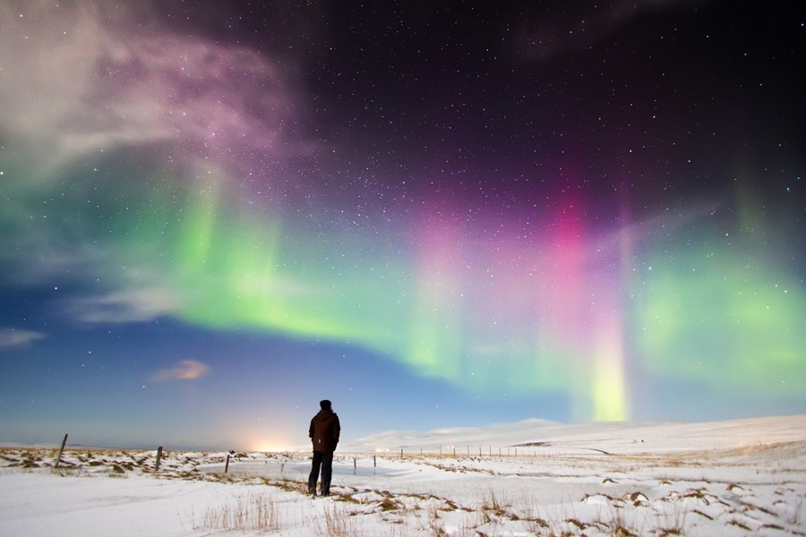 Person standing in a snowy landscape looking up at the northern lights